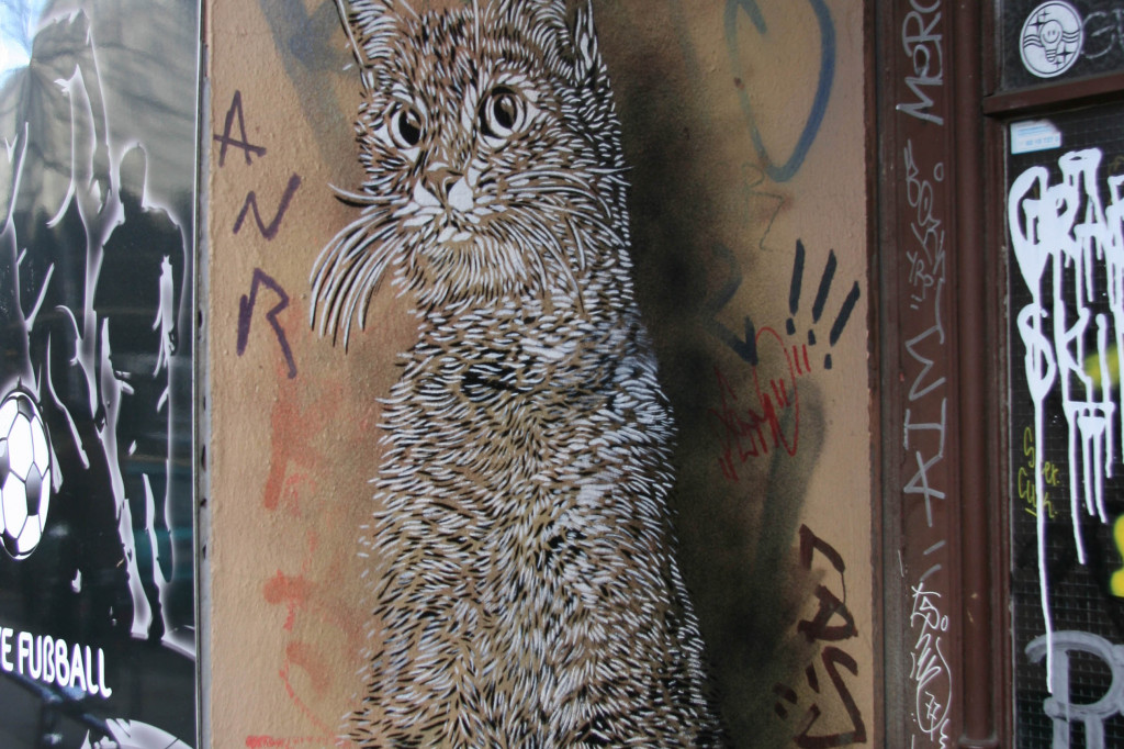 Cat In A Doorway: Street Art by C215 in Berlin