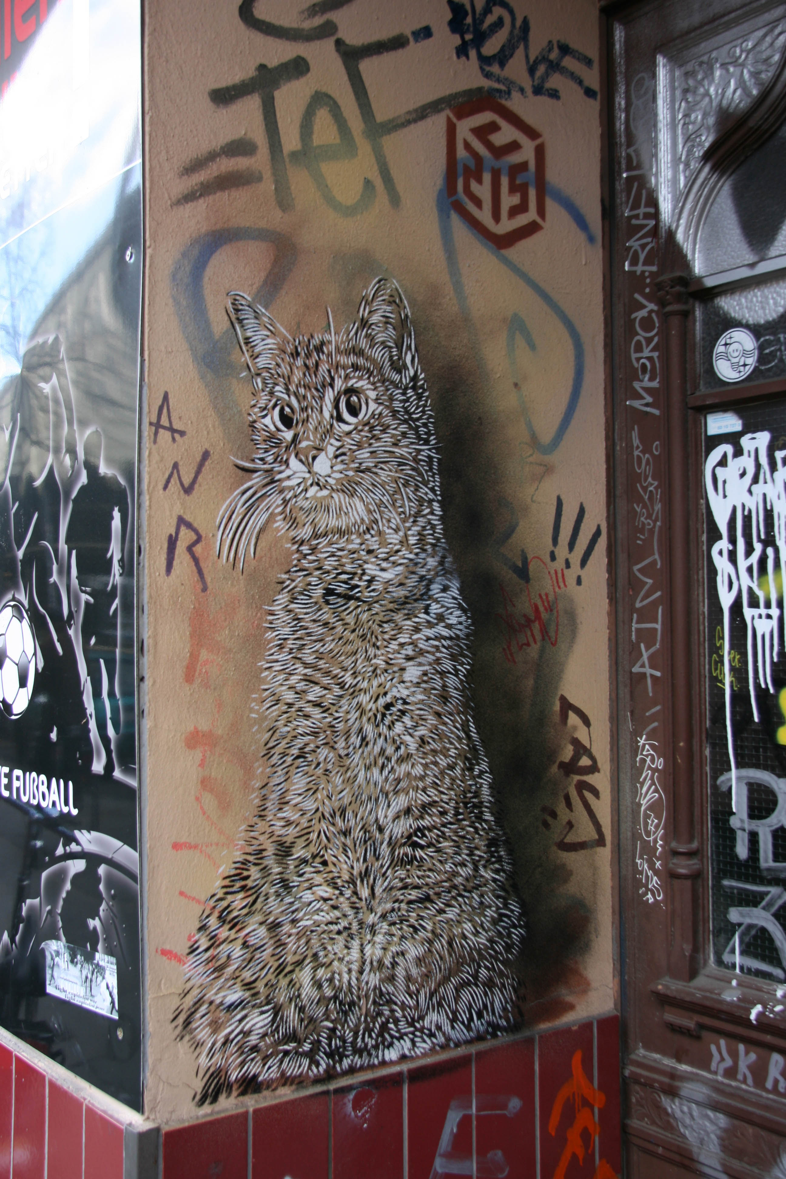 Cat In A Doorway: Street Art by C215 in Berlin