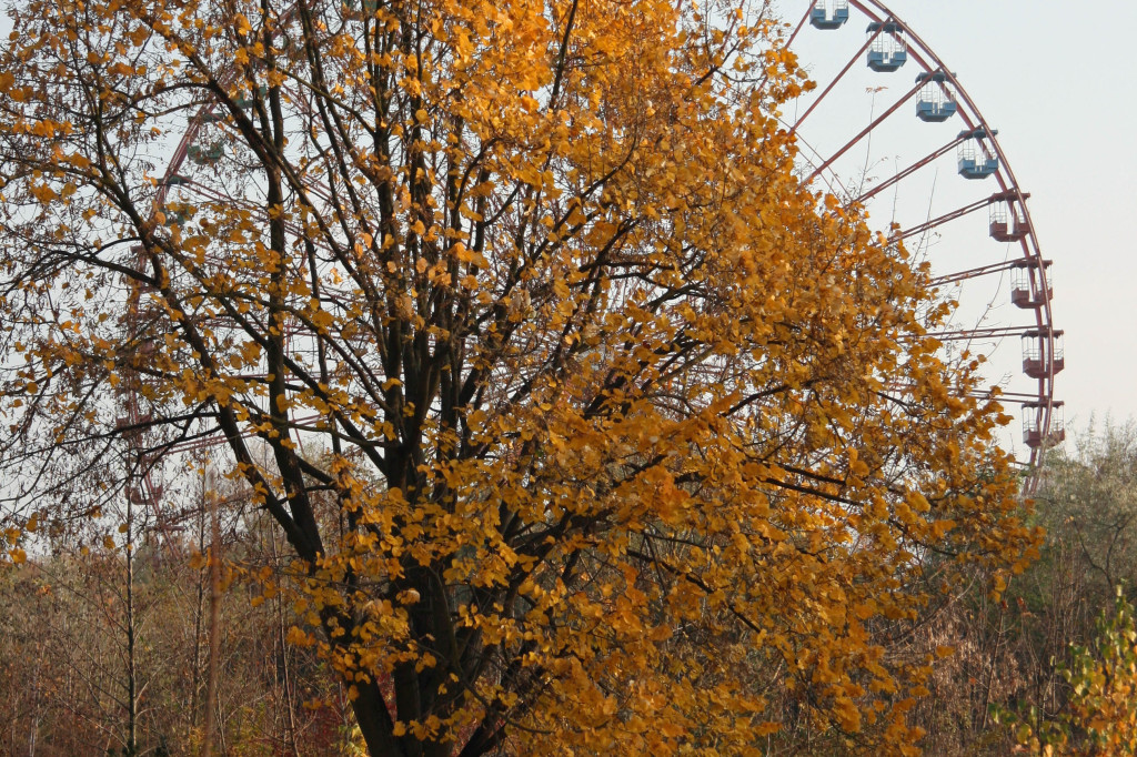 The Ferris Wheel (Riesenrad) and Autumn colours at Spreepark Plänterwald, an abandoned Theme Park in Berlin