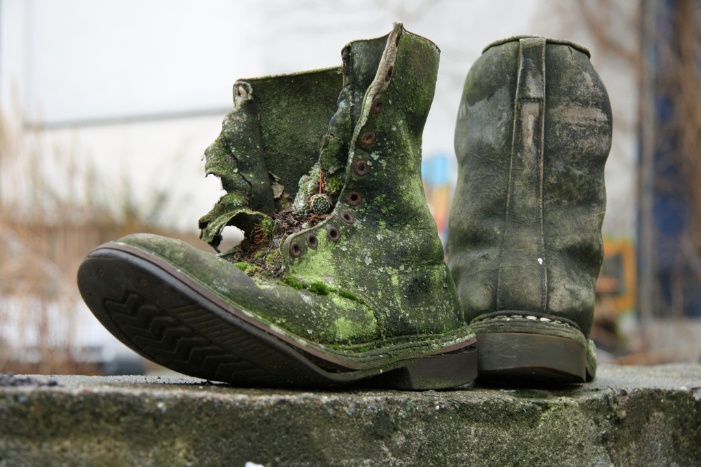 Old boots covered in moss on a wall in Prenzlauer Berg in Berlin