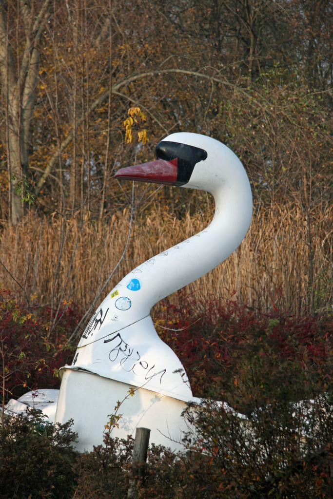 The Schwanen-Fahrt, a Swan Ride at Spreepark Plänterwald, an abandoned Theme Park in Berlin