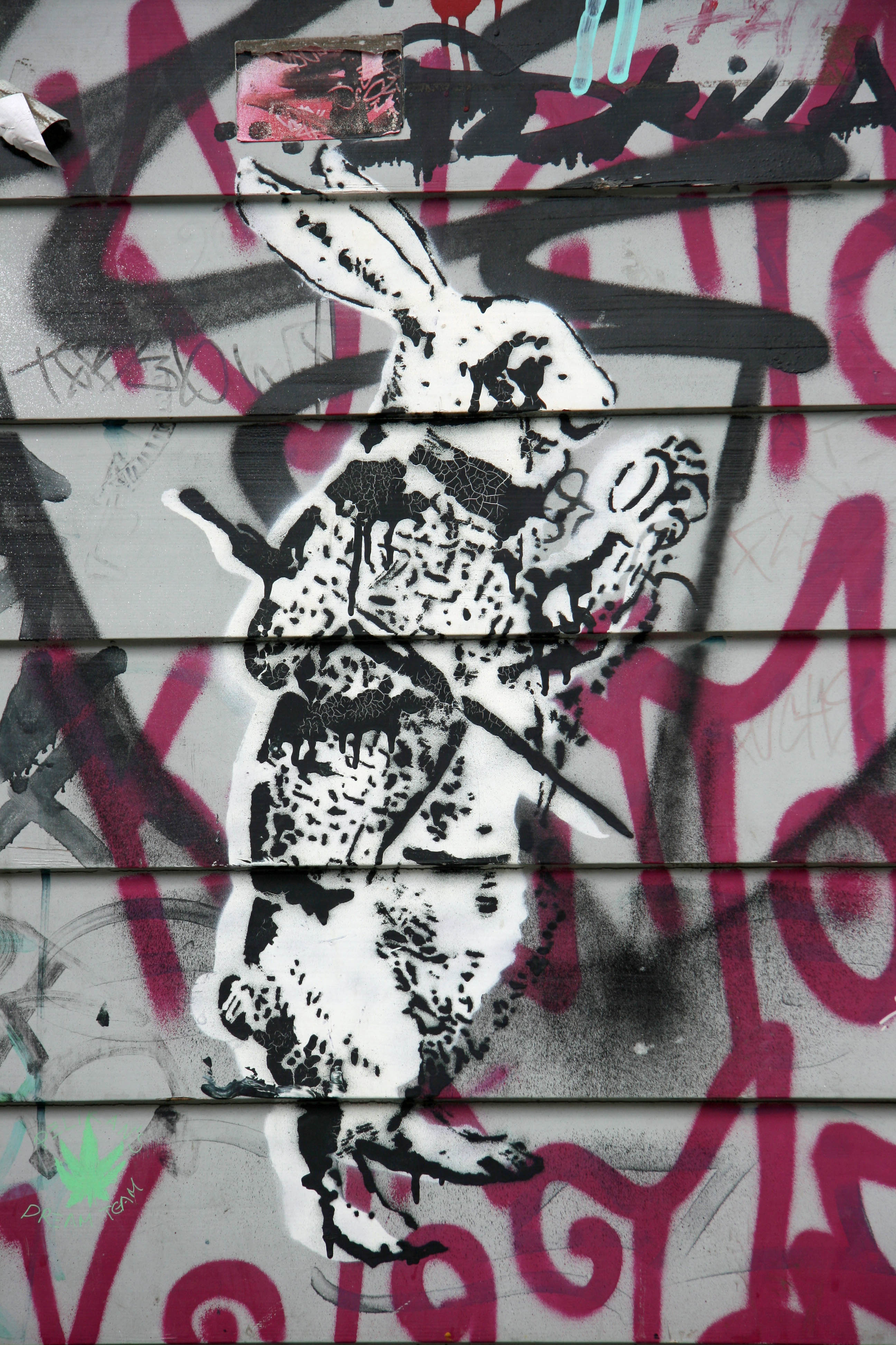 White Rabbit ("I'm late, I'm late for a very important date"): Street Art by Unknown Artist