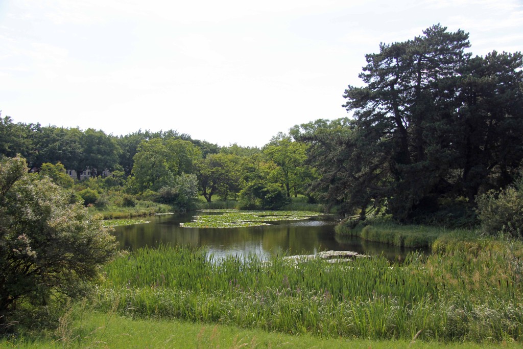 Botanischer Garten und Botanisches Museum BerlinDahlem