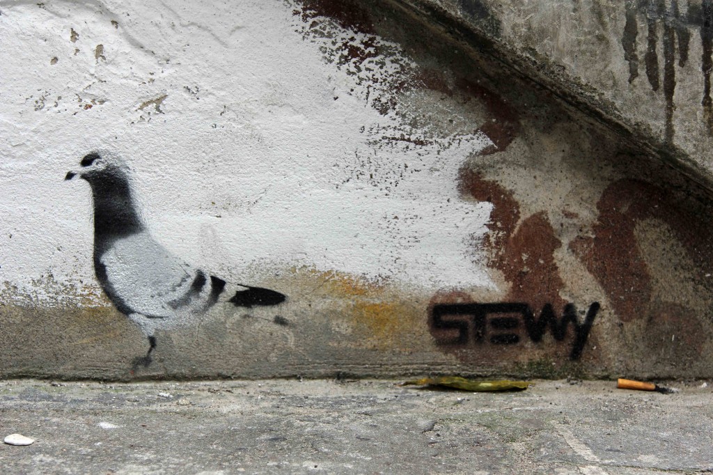Pigeon - Street Art by Stewy in Berlin