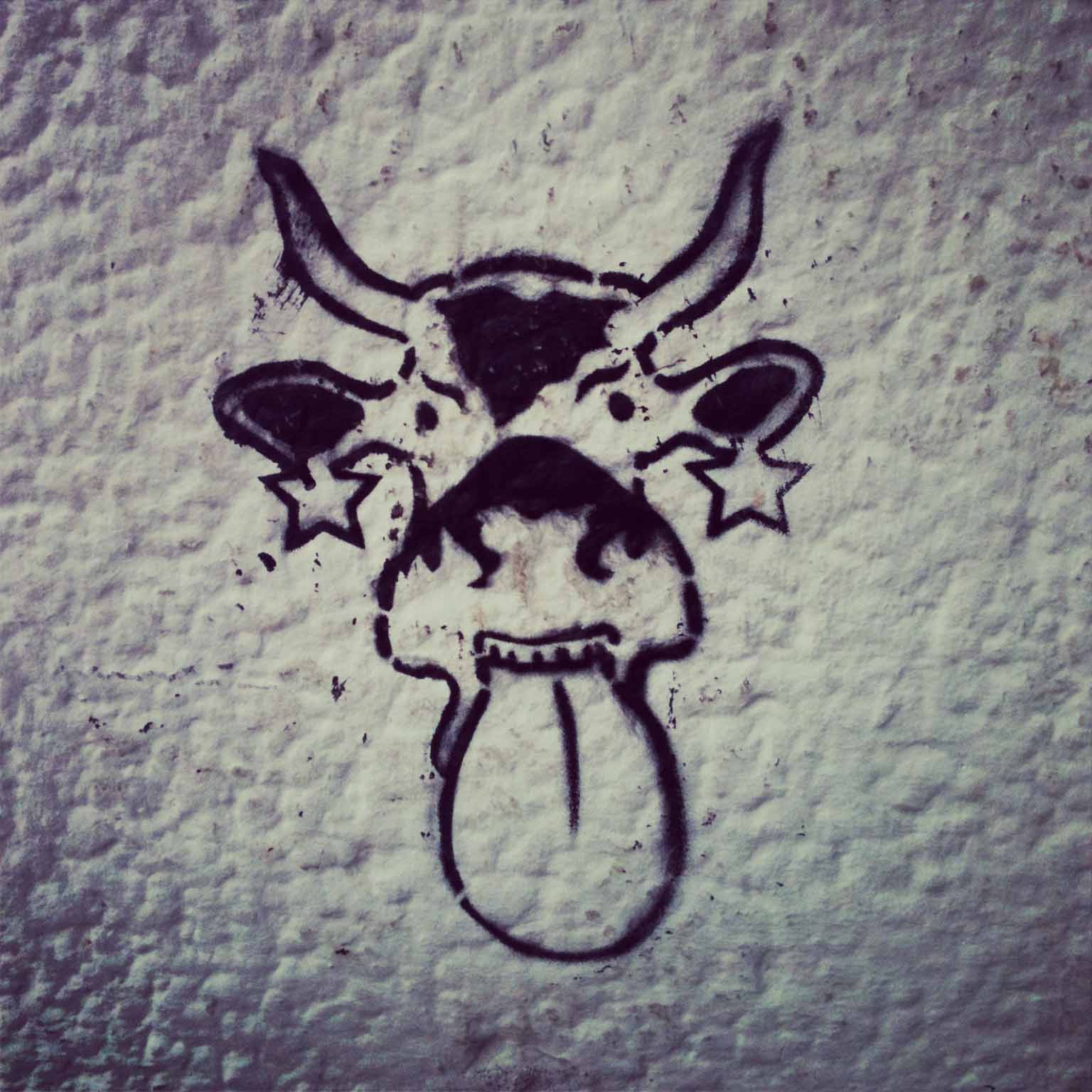 Cheeky Cow - Street Art by Unknown Artist in Berlin