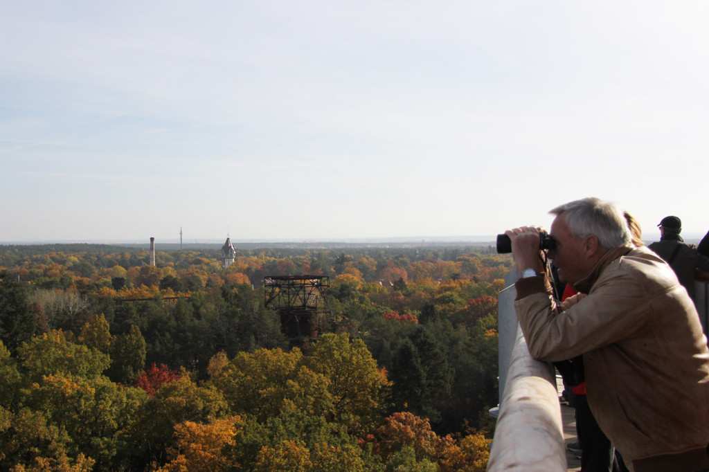 Die Aussicht geniessen von dem Baumkronenpfad Beelitz-Heilstätten in der Nähe von Berlin