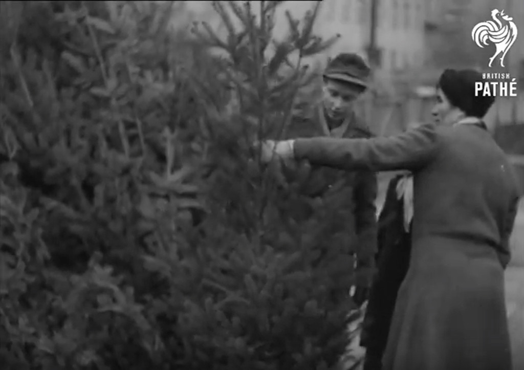West Berliners select a Christmas tree in 1948 - still from Blockaded Christmas by British Pathé - a film with many scenes of Berlin Christmas 1948