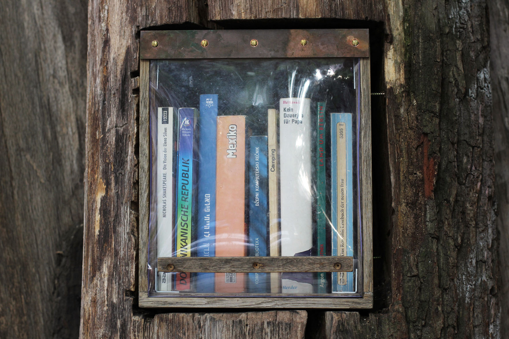 Bücher auf einem Regal im Bücherwald - Eine Bibliothek mit Regalen, die in Stämme geschnitzt sind, die zusammen verschraubt wurden, um einem Baum zu ähneln - auf der Sredzkistrasse in Berlin Prenzlauer Berg