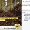 BVG Facebook Post promoting the opening of the IGA (the International Garden Exhibition) using an image from the TOY Crew video Leaf the Train