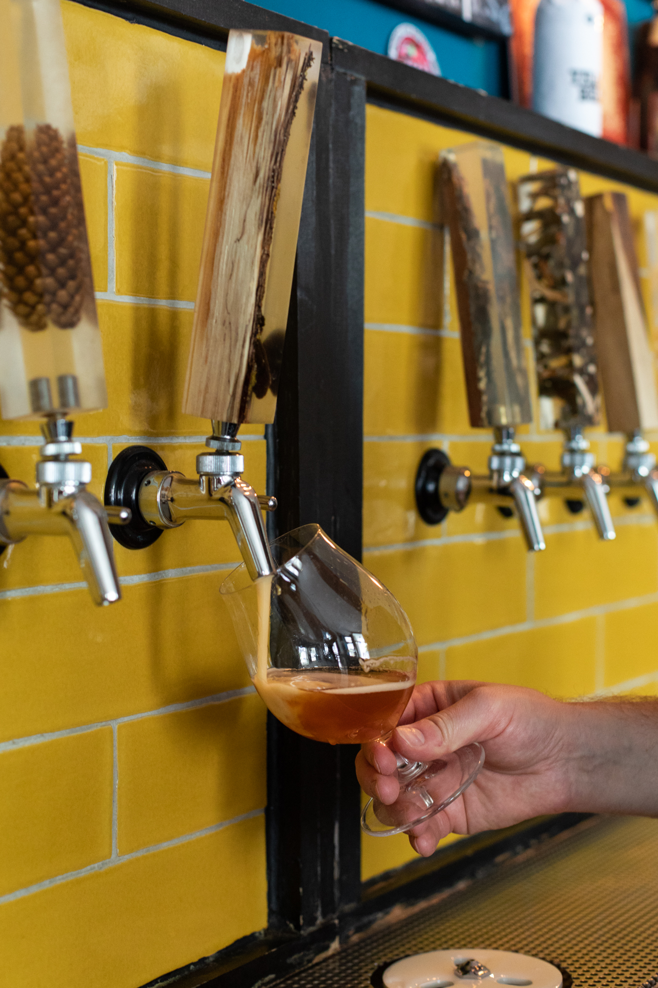 Ein Bier wird gezapft im Protokoll Taproom Berlin, eine Craft Beer Bar mit 24 Zapfhähne in Berlin Friedrichshain